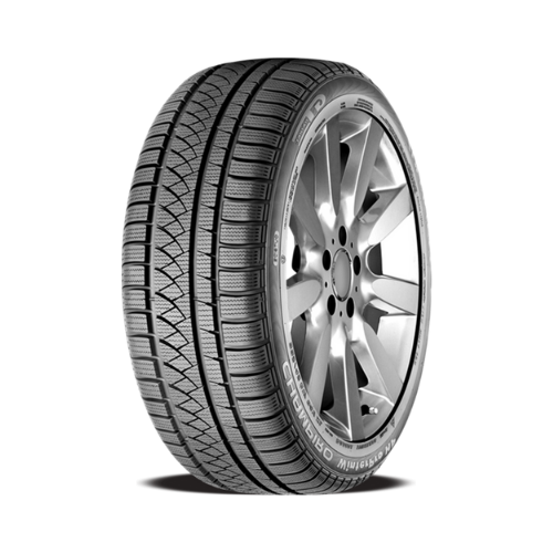 
                      
                        GT Radial Champiro Winterpro HP 255/50 R19 107V
                      
                    
