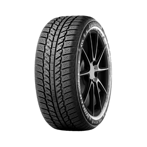 Evergreen Winter EW62 185/65 R14 86T