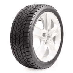 Landsail Winterlander 205/50 R17 93H