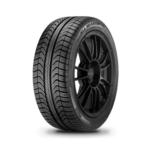 
                      
                        Pirelli Cinturato All Season 165/70 R14 81T
                      
                    