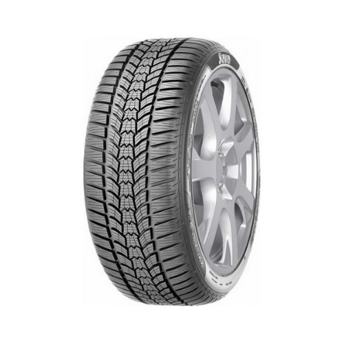 Sava Eskimo HP2 205/55 R16 91H